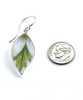 Daisy Leaves Vintage Pottery Large Leaf Single Drop Earrings