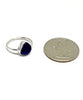 Dark Cobalt 
