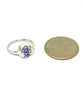 Blue and Gold Flower Vintage Pottery Round 