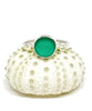 Bright Green Round Sea Glass 