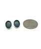 Dark Gray Oval Sea Glass Post Earrings
